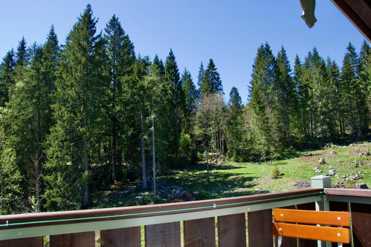 Spitzing Lodge Ferienwohnungen - Wanderparadies In Den Bergen Шпітцінґзе Екстер'єр фото